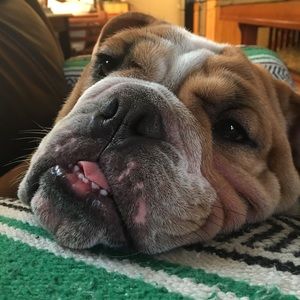 Meet your Posher, Carla